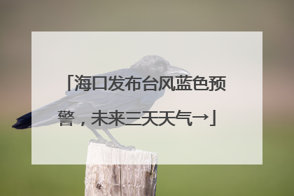 海口发布台风蓝色预警，未来三天天气→