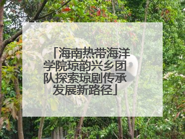 海南热带海洋学院琼韵兴乡团队探索琼剧传承发展新路径