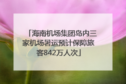 海南机场集团岛内三家机场暑运预计保障旅客842万人次