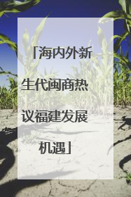 海内外新生代闽商热议福建发展机遇