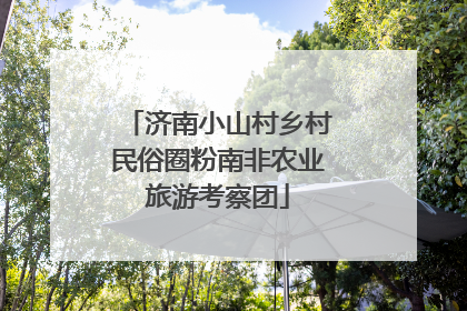 济南小山村乡村民俗圈粉南非农业旅游考察团