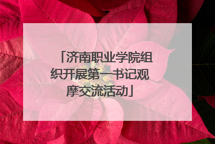 济南职业学院组织开展第一书记观摩交流活动