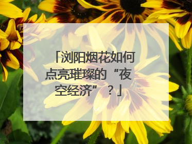 浏阳烟花如何点亮璀璨的“夜空经济”？