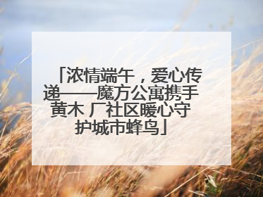 浓情端午，爱心传递——魔方公寓携手黄木 厂社区暖心守护城市蜂鸟