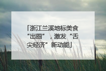 浙江兰溪地标美食“出圈”，激发“舌尖经济”新动能
