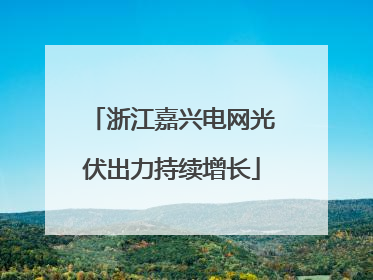 浙江嘉兴电网光伏出力持续增长