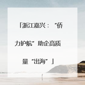 浙江嘉兴：“侨力护航”助企高质量“出海”