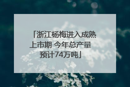 浙江杨梅进入成熟上市期 今年总产量预计74万吨