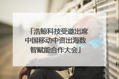 浩鲸科技受邀出席中国移动中资出海数智赋能合作大会