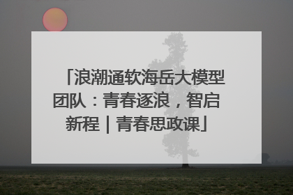 浪潮通软海岳大模型团队：青春逐浪，智启新程｜青春思政课