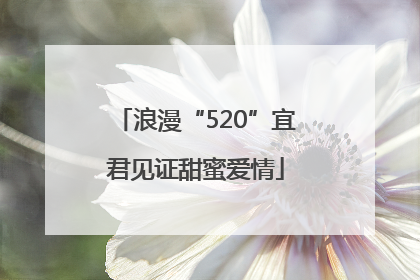 浪漫“520”宜君见证甜蜜爱情
