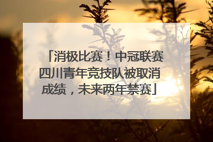 消极比赛！中冠联赛四川青年竞技队被取消成绩，未来两年禁赛