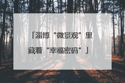 淄博“微景观”里藏着“幸福密码”