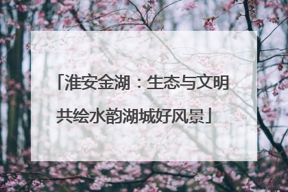 淮安金湖：生态与文明共绘水韵湖城好风景