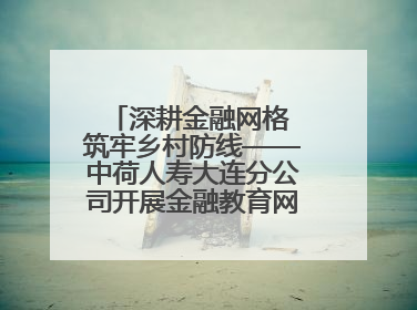 深耕金融网格 筑牢乡村防线——中荷人寿大连分公司开展金融教育网格化宣传活动