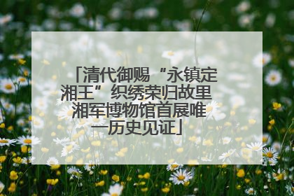 清代御赐“永镇定湘王”织绣荣归故里 湘军博物馆首展唯一历史见证