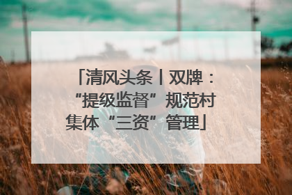 清风头条丨双牌：“提级监督”规范村集体“三资”管理