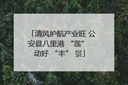 清风护航产业旺 公安县八里港 “莲” 动好 “丰” 景