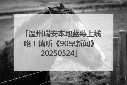 温州瑞安本地蓝莓上线咯！请听《90早新闻》20250524
