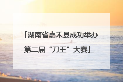 湖南省嘉禾县成功举办第二届“刀王”大赛