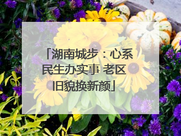 湖南城步：心系民生办实事 老区旧貌换新颜