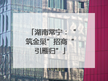 湖南常宁：“筑金巢”招商“引雁归”