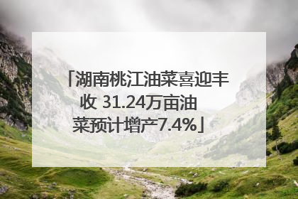 湖南桃江油菜喜迎丰收 31.24万亩油菜预计增产7.4%