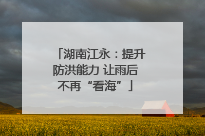 湖南江永：提升防洪能力 让雨后不再“看海”