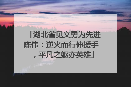湖北省见义勇为先进陈伟：逆火而行伸援手，平凡之躯亦英雄