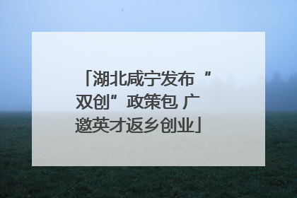 湖北咸宁发布“双创”政策包 广邀英才返乡创业