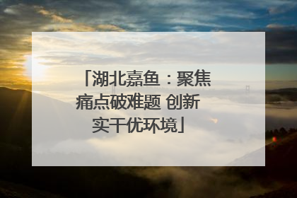 湖北嘉鱼：聚焦痛点破难题 创新实干优环境