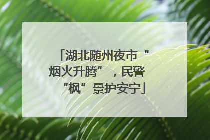 湖北随州夜市“烟火升腾”，民警“枫”景护安宁