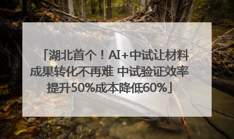 湖北首个！AI+中试让材料成果转化不再难 中试验证效率提升50%成本降低60%