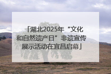 湖北2025年“文化和自然遗产日”非遗宣传展示活动在宜昌启幕