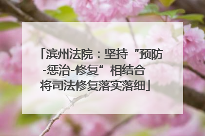 滨州法院：坚持“预防-惩治-修复”相结合 将司法修复落实落细