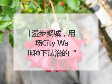 漫步婺城，用一场City Walk种下法治的“童心锚点”