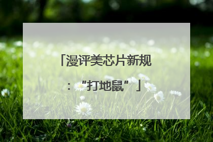 漫评美芯片新规：“打地鼠”