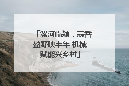 漯河临颍：蒜香盈野映丰年 机械赋能兴乡村