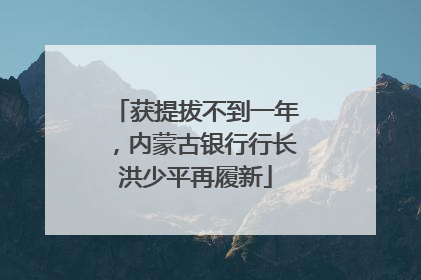 获提拔不到一年，内蒙古银行行长洪少平再履新