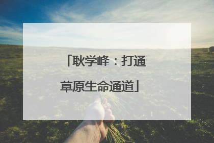 耿学峰：打通草原生命通道