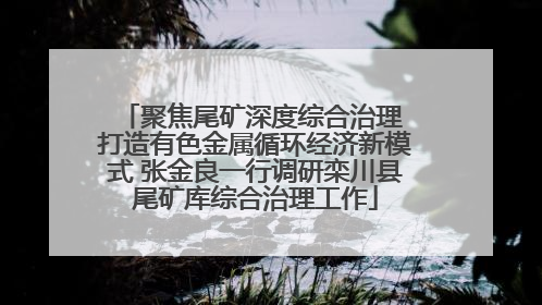 聚焦尾矿深度综合治理 打造有色金属循环经济新模式 张金良一行调研栾川县尾矿库综合治理工作