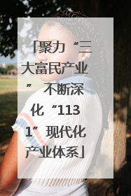 聚力“三大富民产业” 不断深化“1131”现代化产业体系