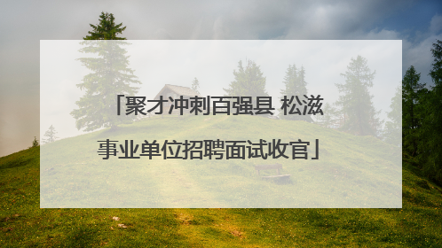聚才冲刺百强县 松滋事业单位招聘面试收官