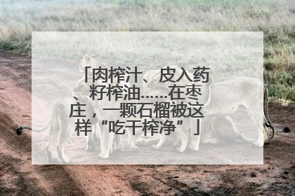 肉榨汁、皮入药、籽榨油……在枣庄，一颗石榴被这样“吃干榨净”