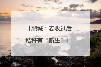 肥城：麦收过后秸秆有“新生”