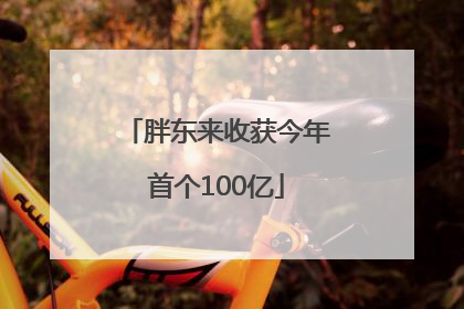 胖东来收获今年首个100亿