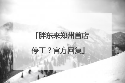 胖东来郑州首店停工？官方回复
