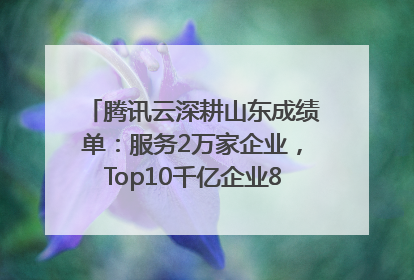 腾讯云深耕山东成绩单：服务2万家企业，Top10千亿企业8家选择腾讯云