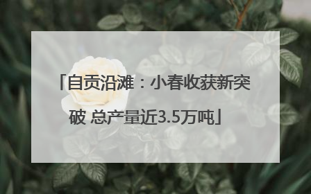 自贡沿滩：小春收获新突破 总产量近3.5万吨