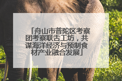 舟山市普陀区考察团考察联舌工坊，共谋海洋经济与预制食材产业融合发展